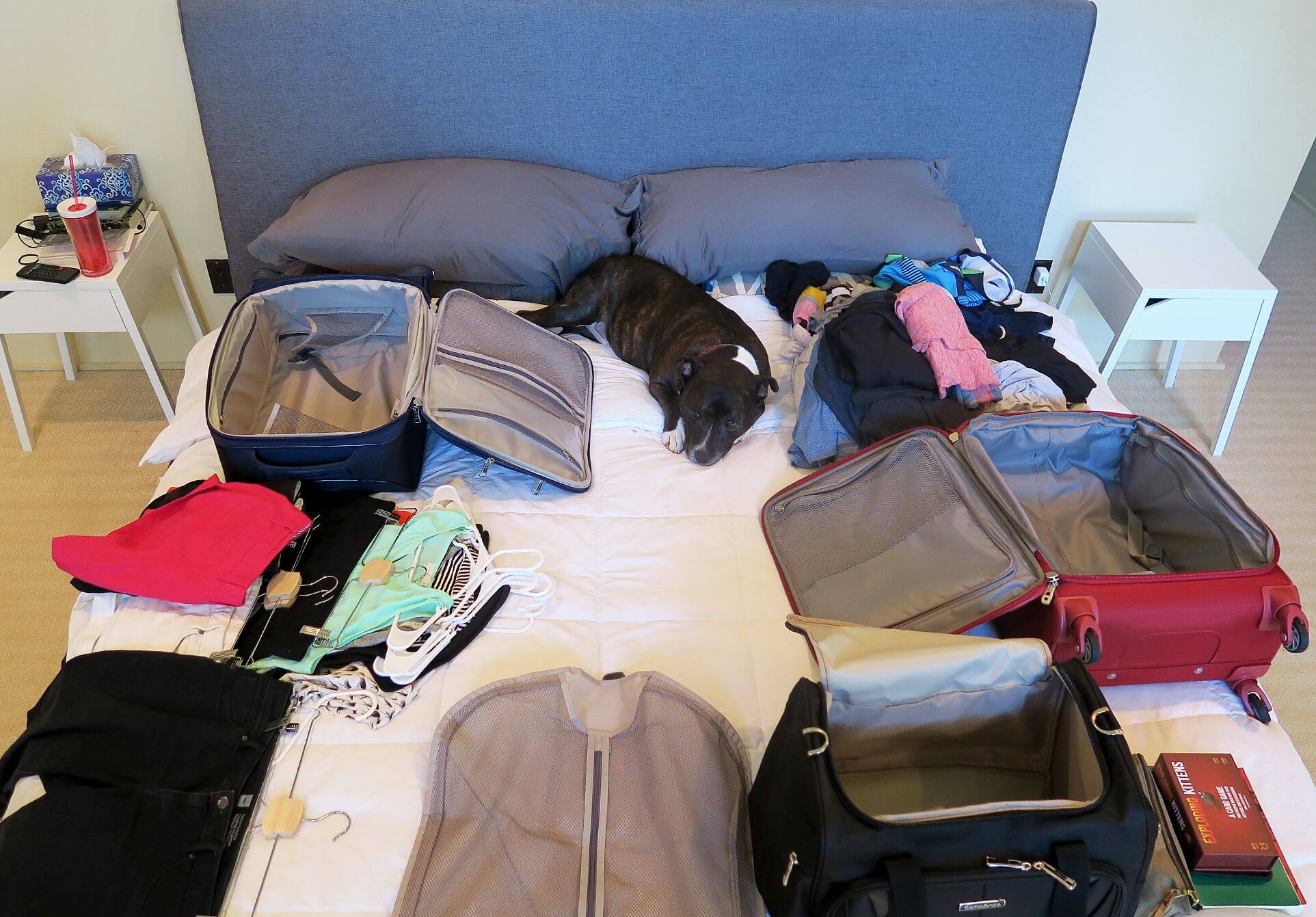 All The Clothes, And Plaxico