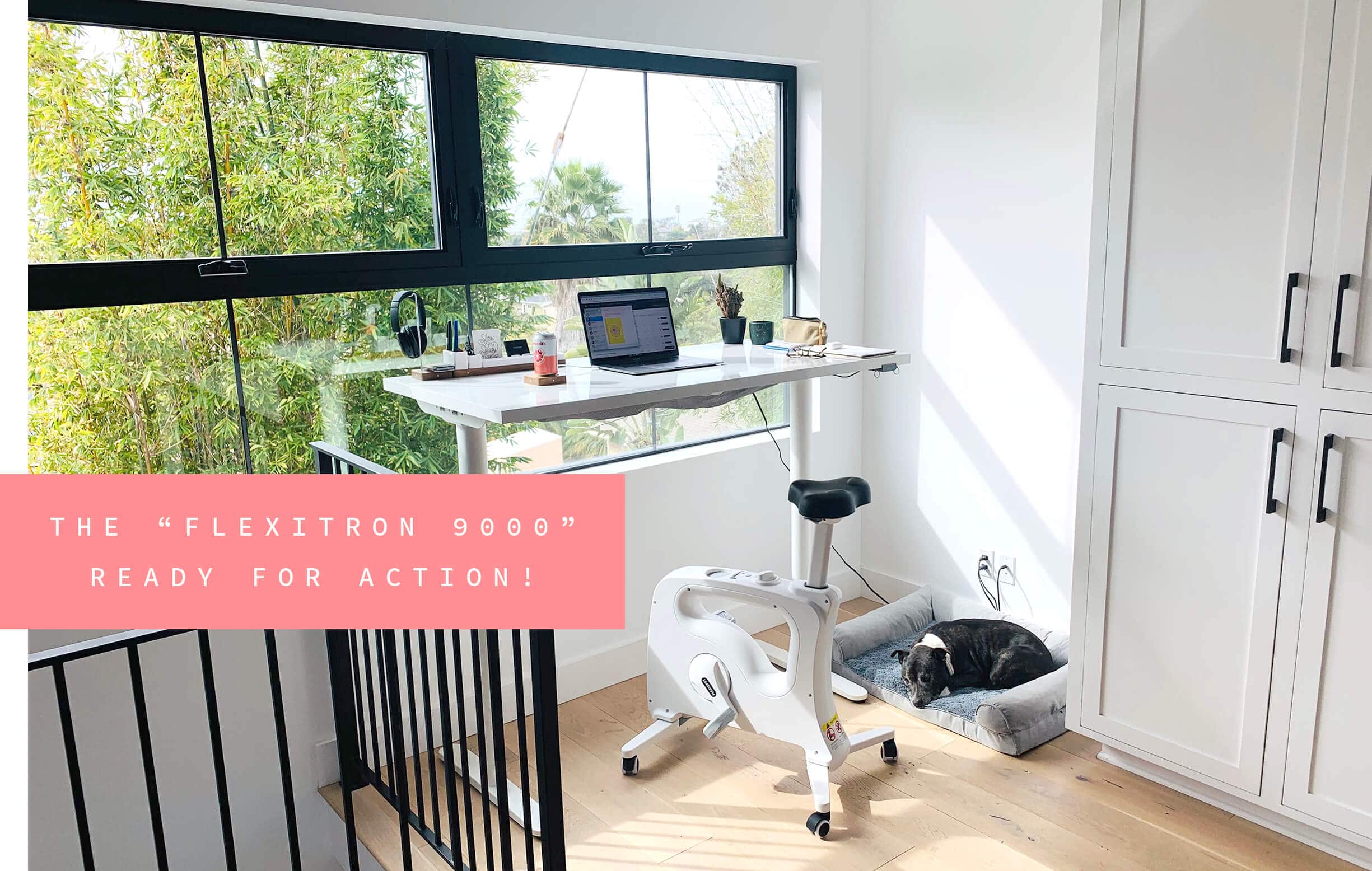 Stationary bike installed at standing desk for use