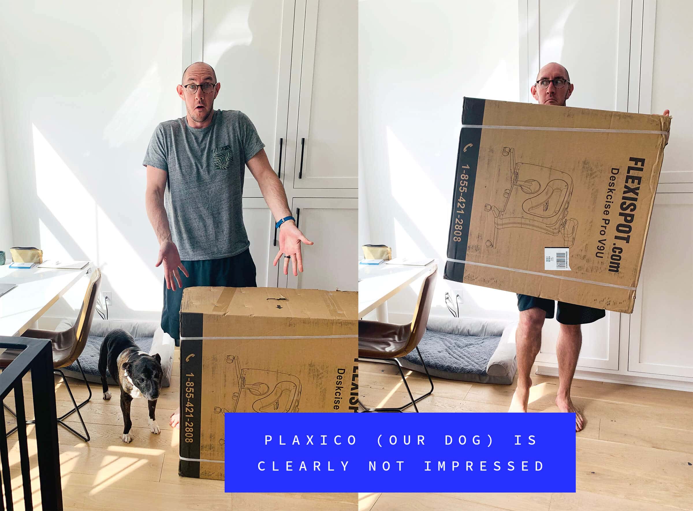 Our dog Plaxico is not impressed