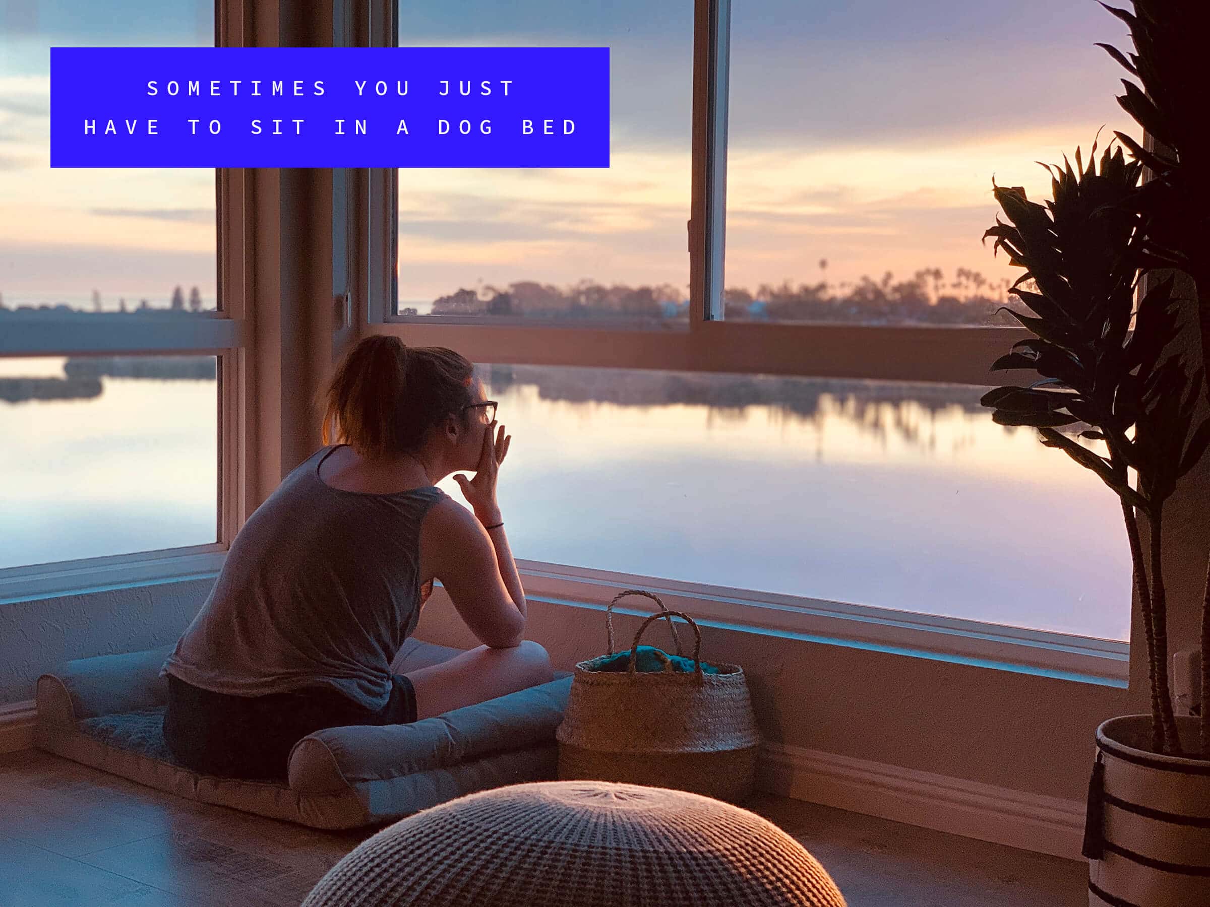 Caroline Zook in a dog bed