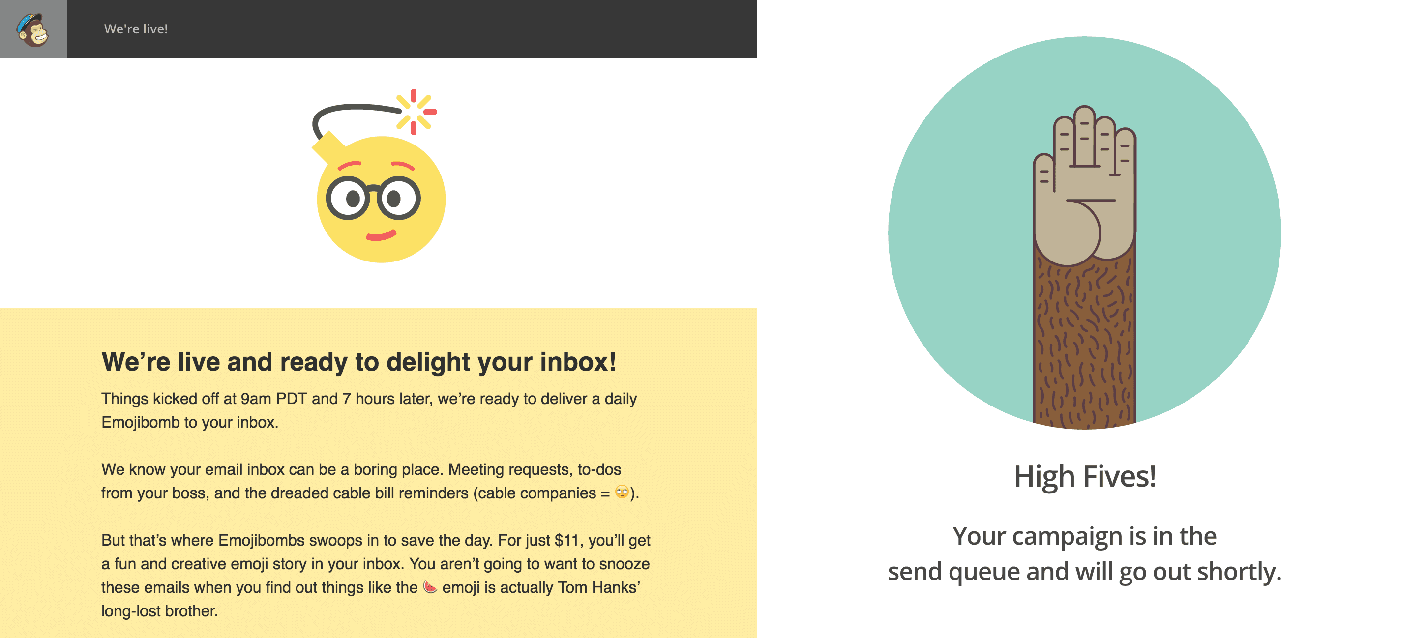Mailchimp Sales Email