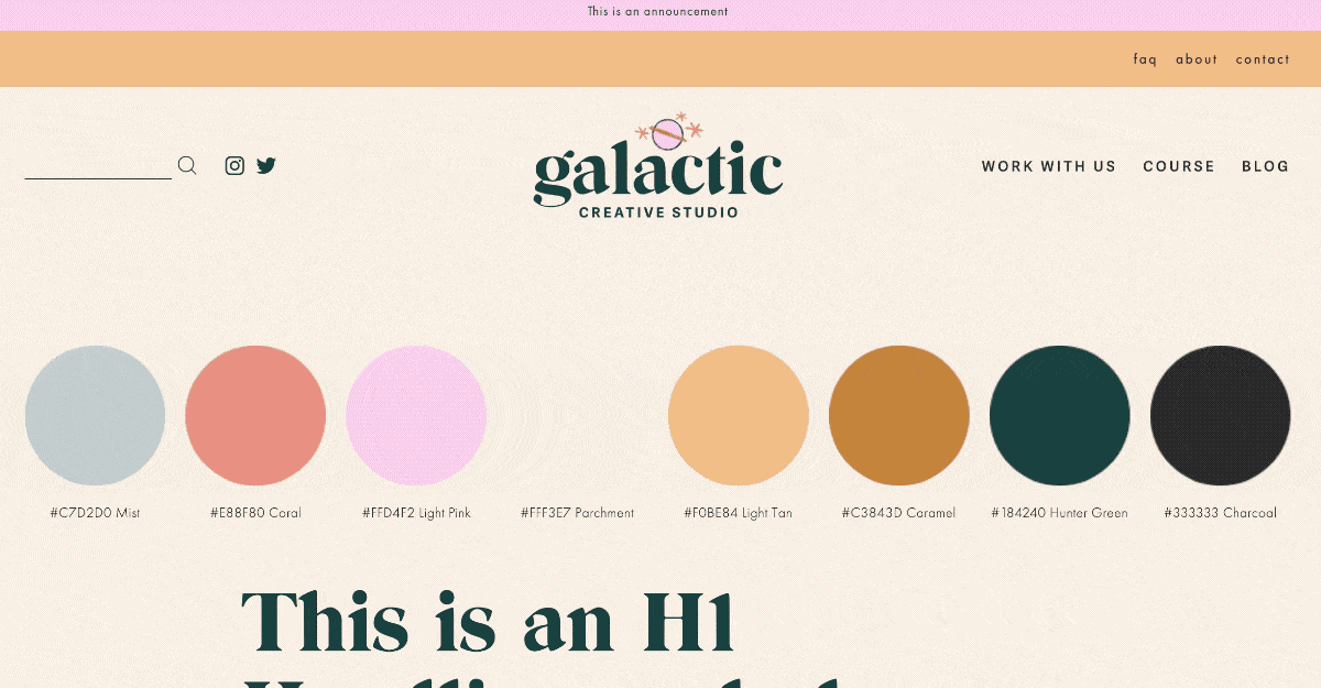 Brand Styles Page in Squarespace for BASSSF