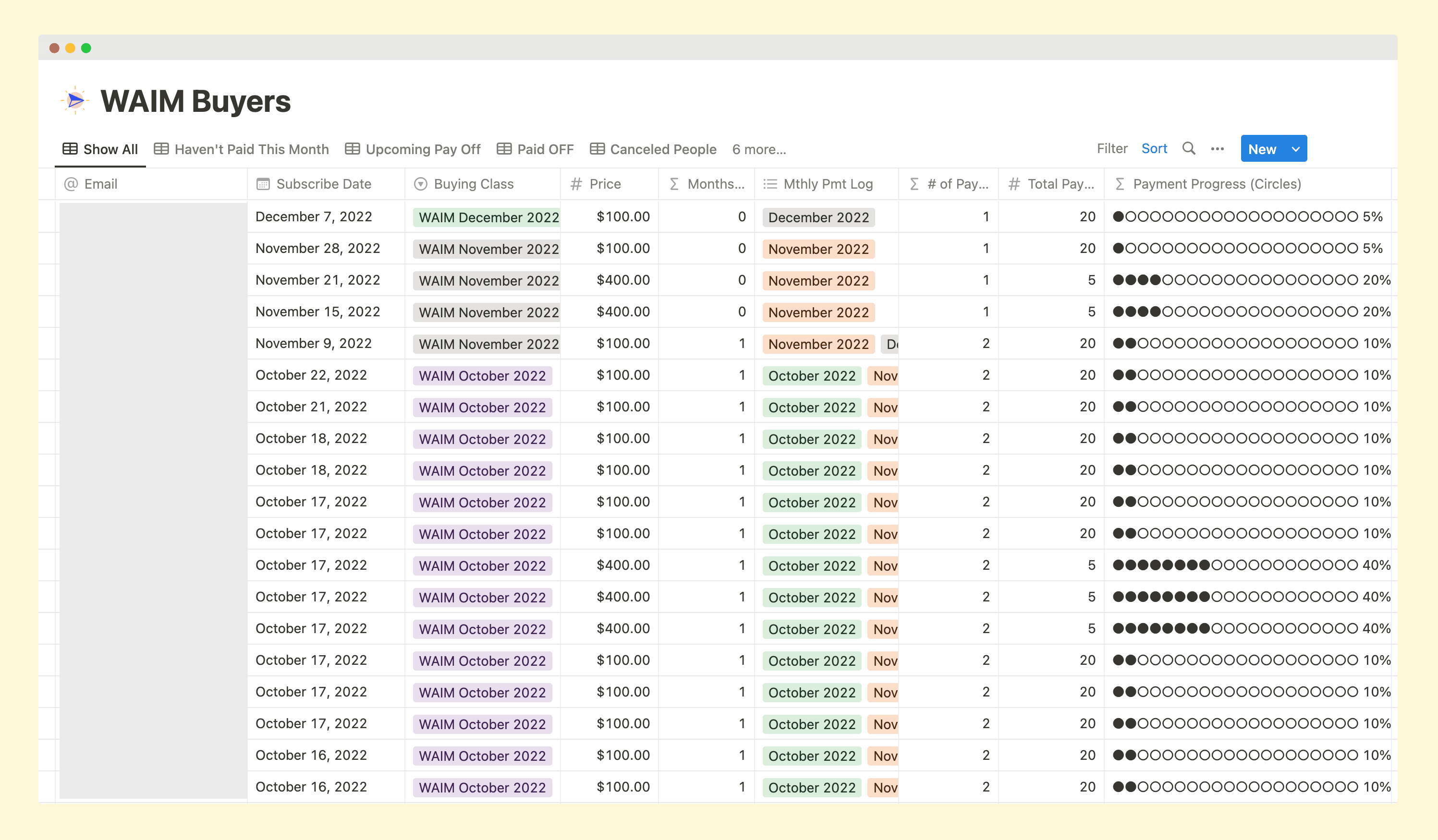 Wandering Aimfully member Notion database