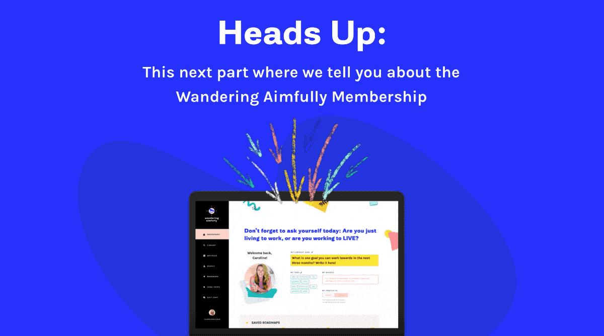 WAIM Workshop Sales Pitch